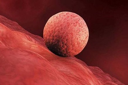 潍坊市人民医院做试管婴儿怎么样？