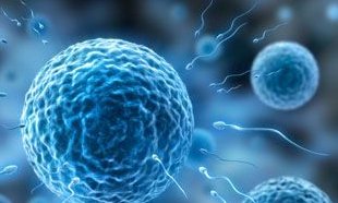 做了结扎手术可以在同仁市试管医院做试管婴儿吗？费用是多少