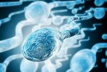 潍坊医科附属医院生殖科哪位医生试管移植成功率高？