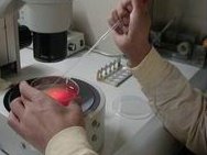 在石家庄做试管婴儿不知道去哪家医院，推荐名单请收下