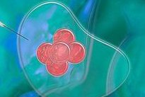 介绍南京市妇幼保健院试管等待时间，2026南京试管医院名单公布