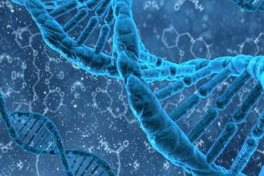 重度宫腔粘连在杭州市做试管婴儿靠谱吗？重度宫腔粘连试管婴儿成功率多少