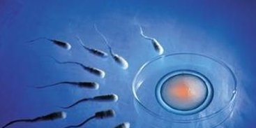 武汉做试管婴儿能生孩子的医院有哪些？武汉试管可不可以做孩子？