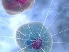 高龄失独家庭能做试管助孕吗？高龄患者如何提高试管成功率