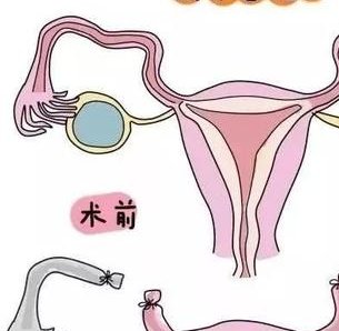 淄博市妇幼保健院助孕信息，试管婴儿费用一览